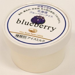 砂糖不使用 北海道ブルーベリーアイス