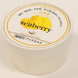 砂糖不使用 北海道シーベリーアイス