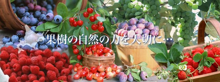 詳細はこちら