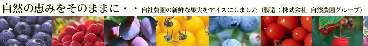自社農園の新鮮な果実をアイスにしました (製造:株式会社 自然農園グループ